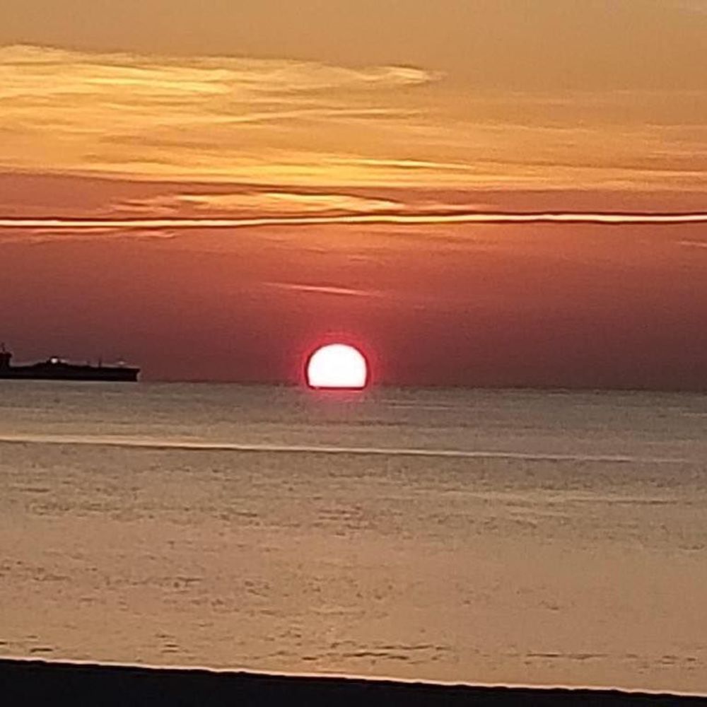 Meet your Posher, Al